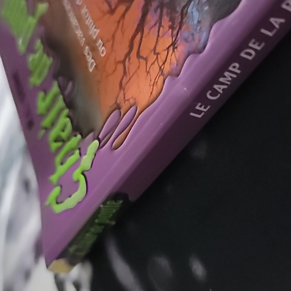 (chair de poule livre)Goosebumps Book(le camp de la peur (French version - Picture 3 of 5
